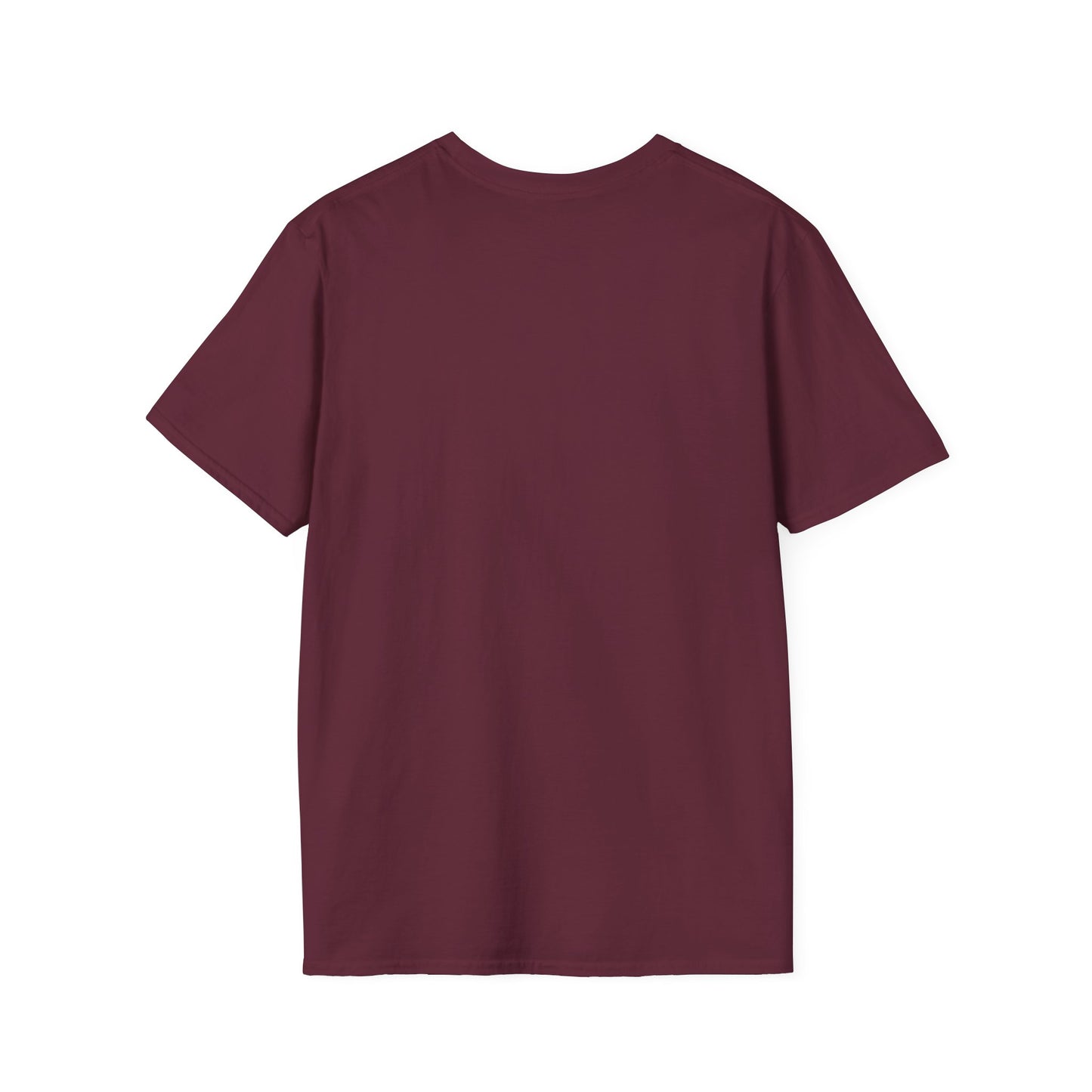 Don’t Stress What You Can’t Control Unisex Softstyle T-Shirt